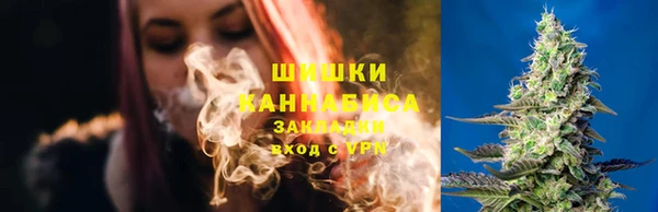первитин Богданович