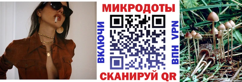 купить наркоту  Шелехов  Галлюциногенные грибы Psilocybe 